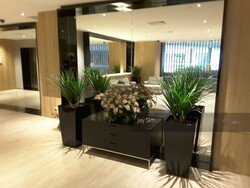The Plaza (D7), Apartment #243959441